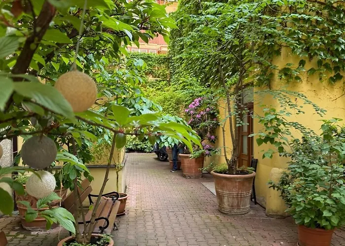 Apartament Retro Boho Style St Clement With A Oasis