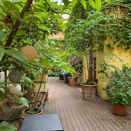Apartment Retro Boho Style St Clement With A Oasis